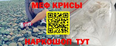 стаф Заводоуковск