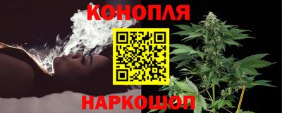 стафф Заволжье
