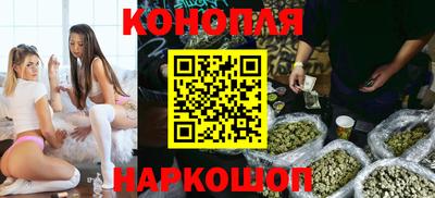 стафф Заволжье